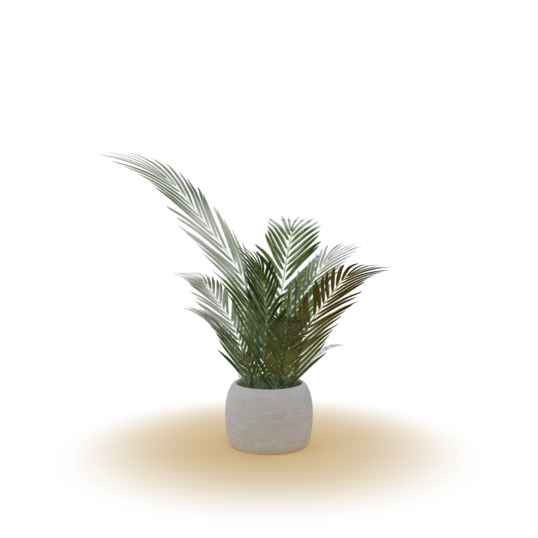 House_Plant